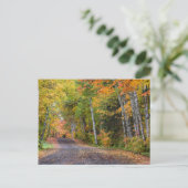 Leaf Streckenschotterstraße mit Herbstfarbe Postkarte (Stehend Vorderseite)
