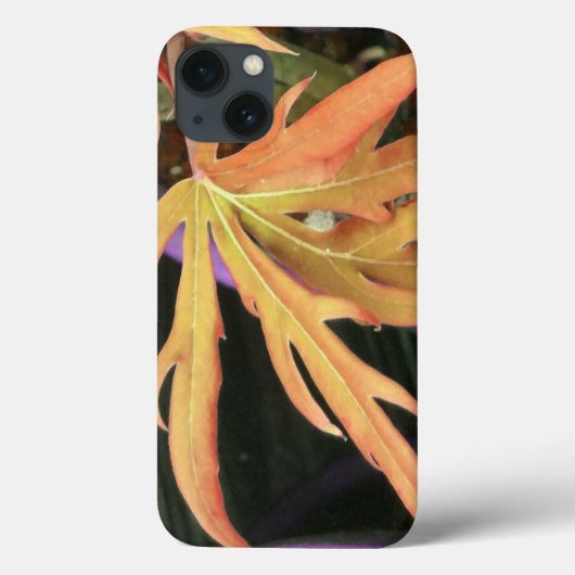 Leaf-Studie 2 Case-Mate iPhone Hülle (Rückseite)