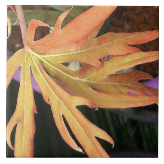 Leaf-Studie 2 Fliese (Vorderseite)