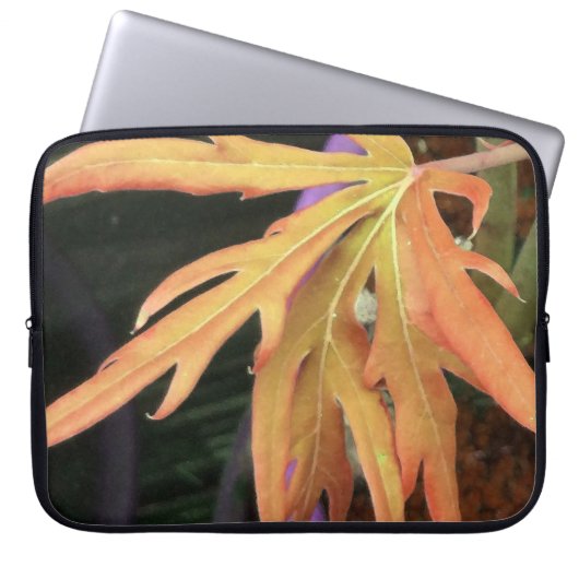 Leaf-Studie 2 Laptopschutzhülle (Vorderseite)