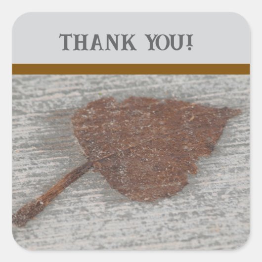 Leaf thank you quadratischer aufkleber (Vorderseite)
