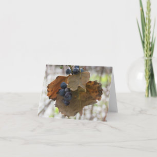 Leaf und Berrys of Blue - Blanke Grußkarte Karte