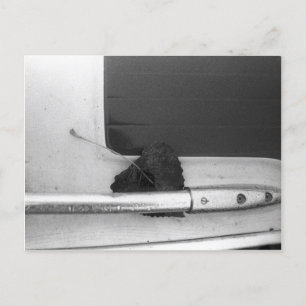 Leaf und Grab Rail Postkarte