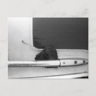 Leaf und Grab Rail Postkarte