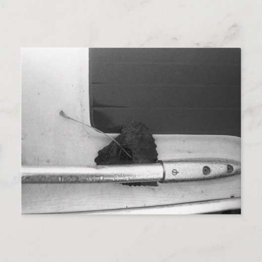 Leaf und Grab Rail Postkarte (Vorderseite)