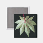 Leaf und Stem Magnet (Vorderseite/Rückseite)