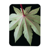 Leaf und Stem Magnet (Vertikal)