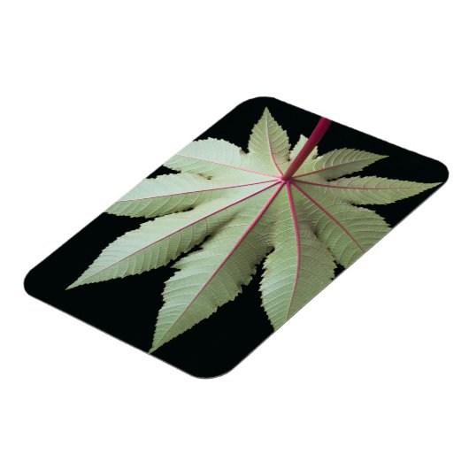 Leaf und Stem Magnet (Linke Seite)
