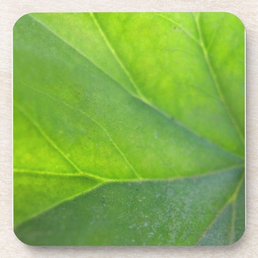 Leaf Untersetzer (Vorderseite)