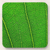 Leaf Untersetzer (Vorderseite)