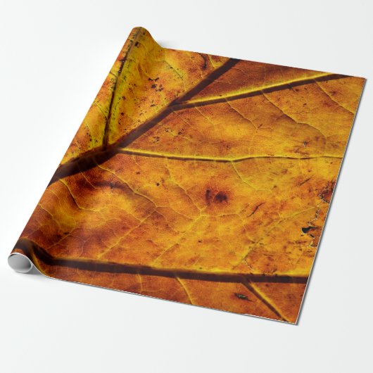 Leaf-Venen fallen Textur Geschenkpapier (Ungerollt)
