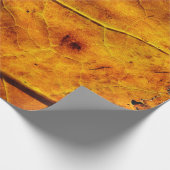 Leaf-Venen fallen Textur Geschenkpapier (Ecke)