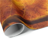 Leaf-Venen fallen Textur Geschenkpapier (Rolleneckpunkt)