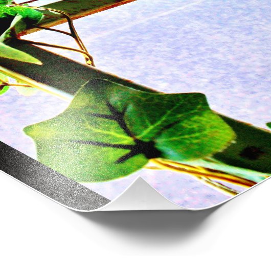 Leaf View Fotodruck (Ecke)