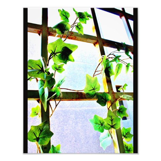 Leaf View Fotodruck (Vorne)