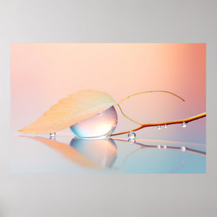 Leaf Wasser Tropfen Natur Stille Ruhe Poster