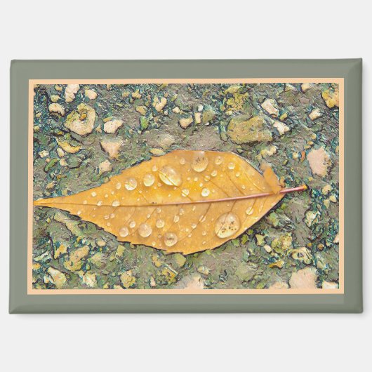 LEAF WITH RAINDROPS Magnet (Vorderseite)