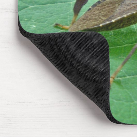 Leaffoted Bug (Acanthocephala fenorata) Items Mousepad (Ecke)