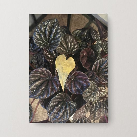 leafs button (Vorderseite)