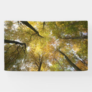 Leafy Canopy Banner
