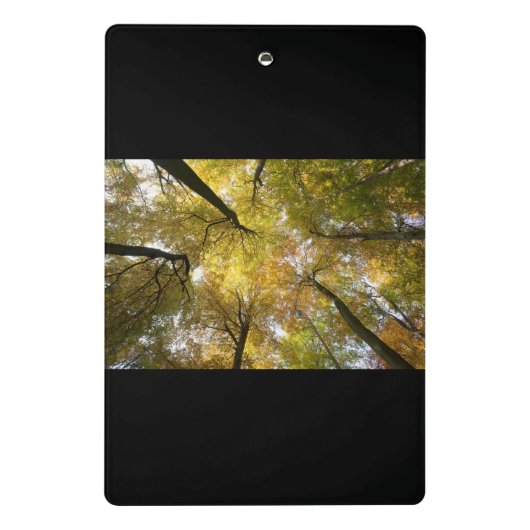 Leafy Canopy Mini Klemmbrett (Rückseite)