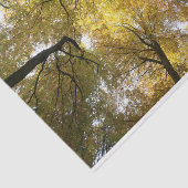 Leafy Canopy Seidenpapier (Ausschnitt)