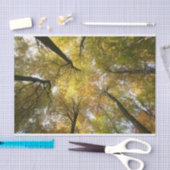 Leafy Canopy Seidenpapier (Handwerk)