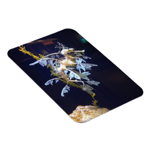 Leafy Dragon Magnet (Rechte Seite)