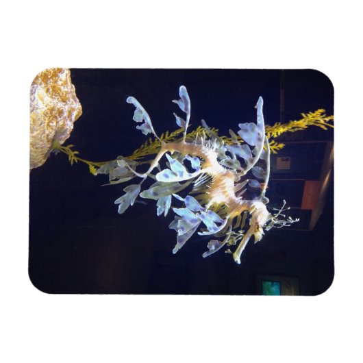 Leafy Dragon Magnet (Horizontal)