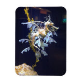 Leafy Dragon Magnet (Vertikal)