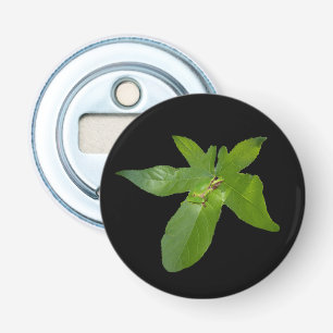"Leafy Haven: Ein kleiner grüner Frosch auf einem Flaschenöffner