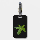 "Leafy Haven: Ein kleiner grüner Frosch auf einem  Gepäckanhänger (Rückseite vertikal)