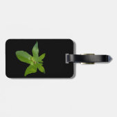 "Leafy Haven: Ein kleiner grüner Frosch auf einem  Gepäckanhänger (Rückseite horizontal)