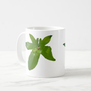 "Leafy Haven: Ein kleiner grüner Frosch auf einem Kaffeetasse