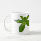 "Leafy Haven: Ein kleiner grüner Frosch auf einem Kaffeetasse (Links)