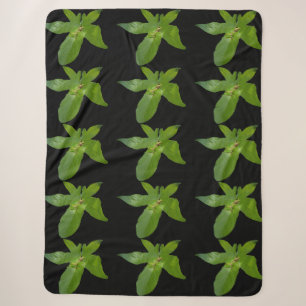 "Leafy Haven: Ein kleiner grüner Frosch auf einem Sherpadecke