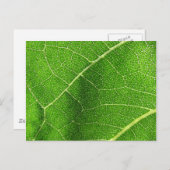 Leafy Labyrinth Postkarte (Vorne/Hinten)