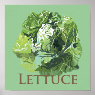 Leafy Lettuce Poster