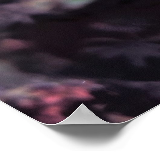 Leafy Scorpionfish Poster (Ecke)