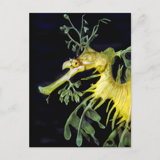 Leafy Sea Dragon Postkarte (Vorderseite)