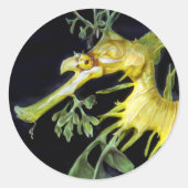 Leafy Sea Dragon Runder Aufkleber (Vorderseite)