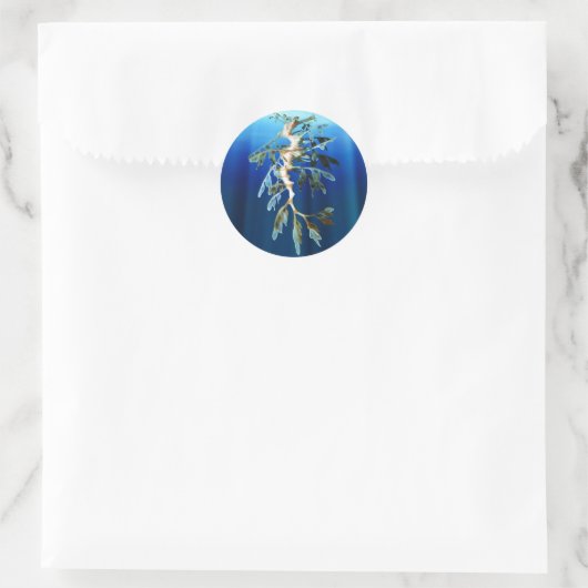 Leafy Sea Dragon Sticker (Tasche)
