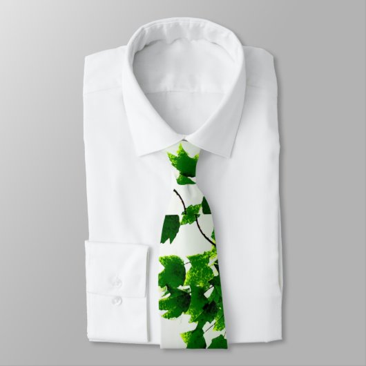 Leafy Vater der Krawatte (Gebunden)