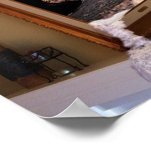 Leaky Frame Poster (Ecke)