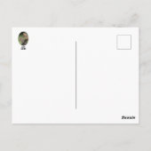 Lean am Text Postkarte (Rückseite)