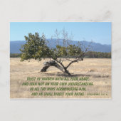 Lean Not on your own Understanding Postkarte (Vorderseite)