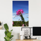 Leaning Cleome Poster (Heimbüro)