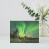 Leaning Spruce Aurora Postkarte (Stehend Vorderseite)