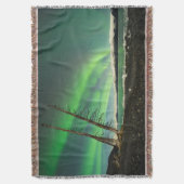 Leaning Tree Aurora Decke (Vorderseite Vertikal)