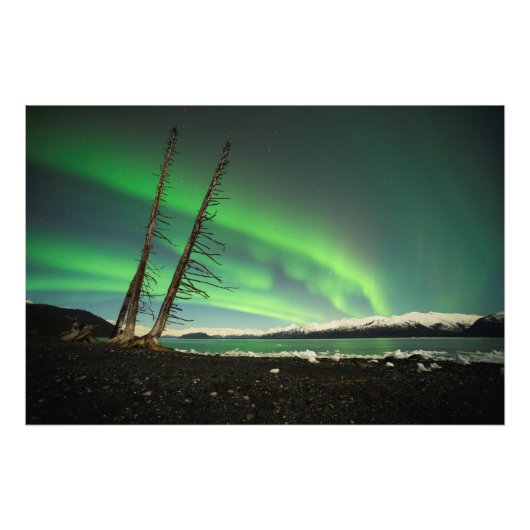 Leaning Tree Aurora Fotodruck (Vorne)